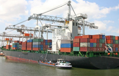 公認進口報關代理公司會采取哪些措施來確保報關服務的專業(yè)性？