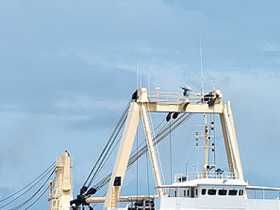 關于國際物流你需要了解的步驟